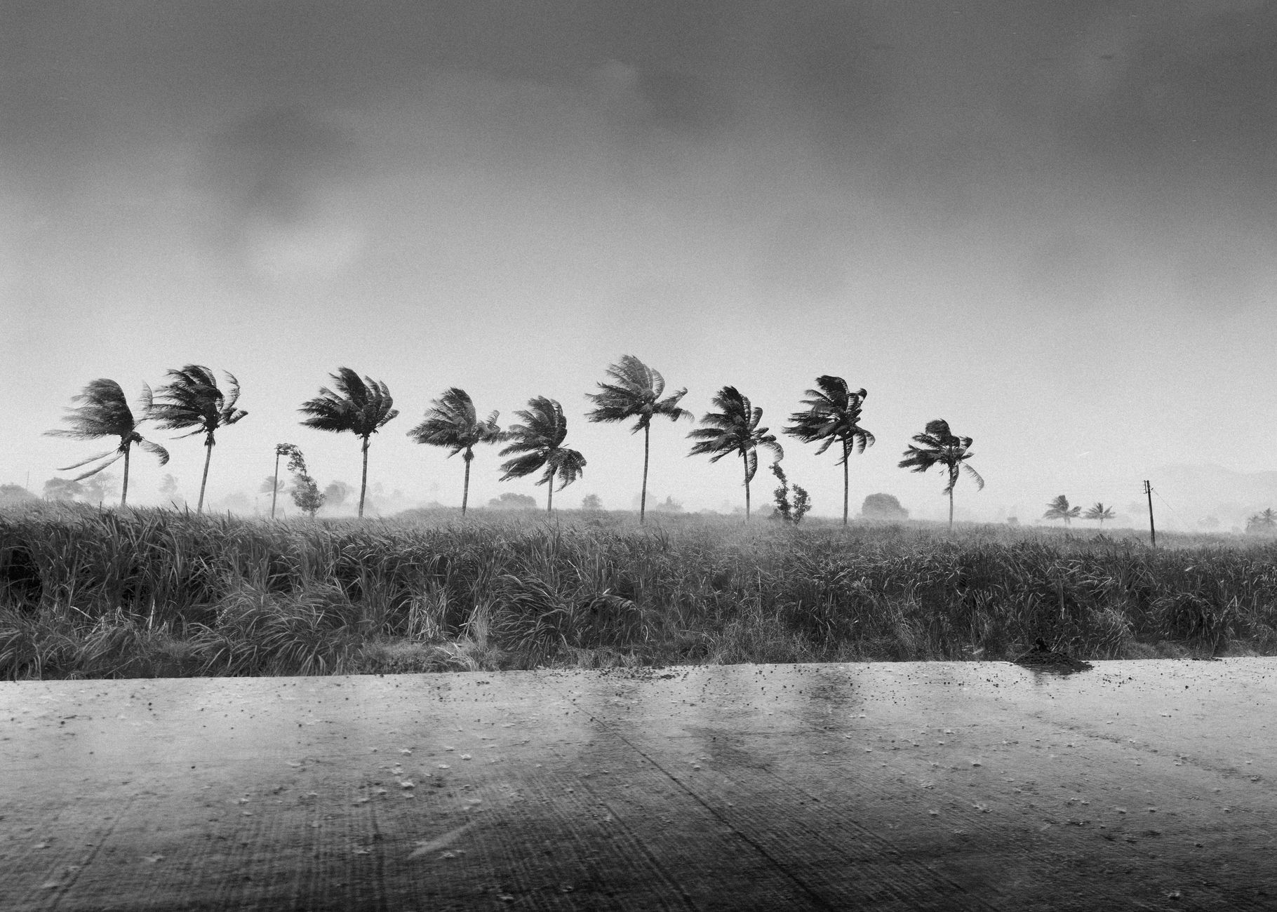 dramatic tropical storm in rural india
